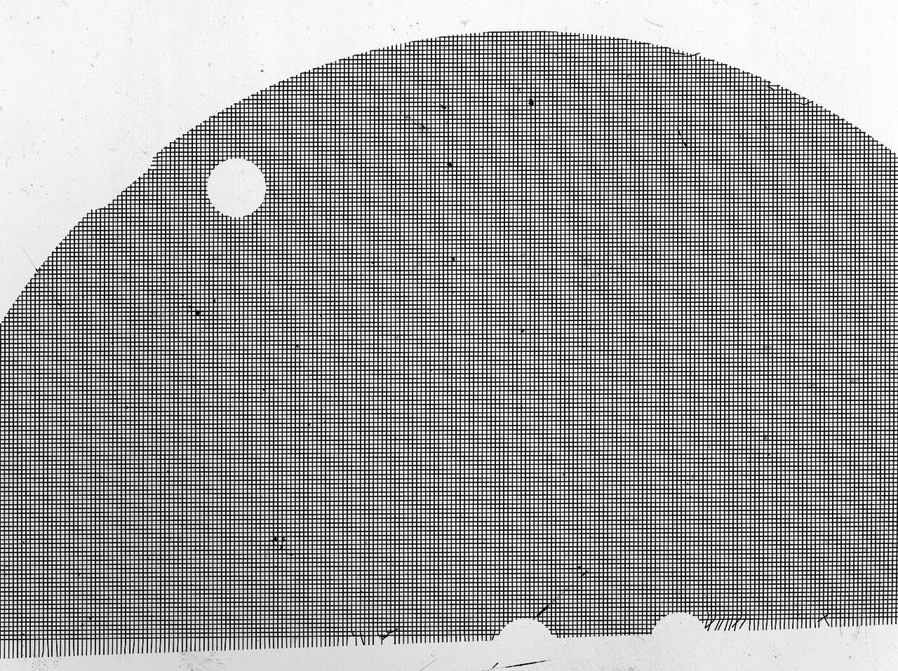 1772417509554559.jpg 微信图片_2026-03-02_100726_850.jpg